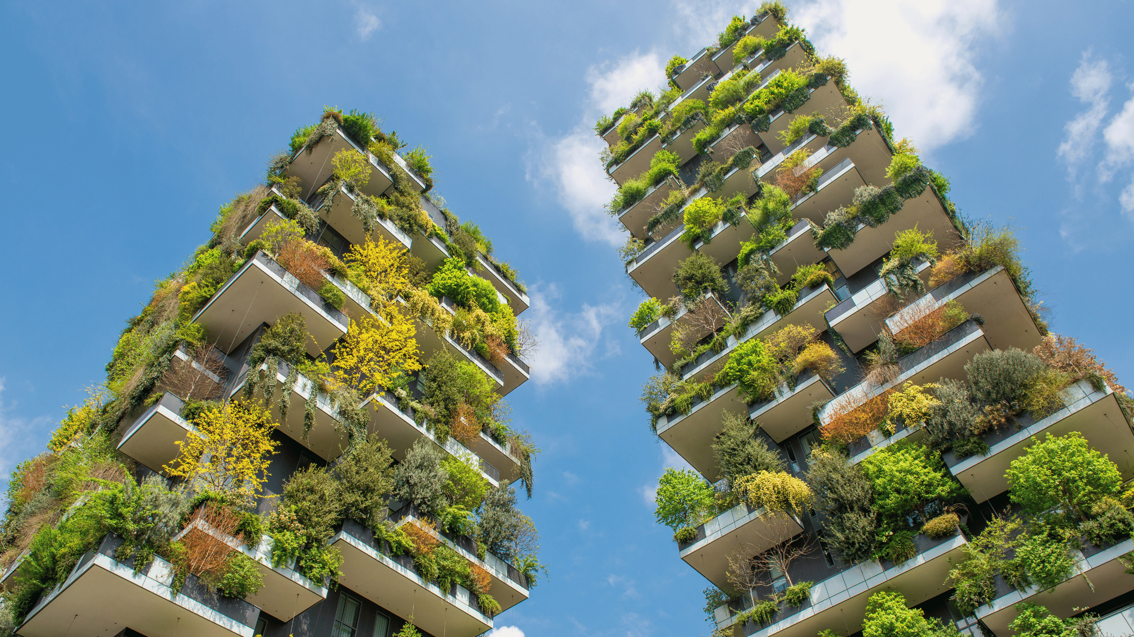 verde urbano in città - Milano